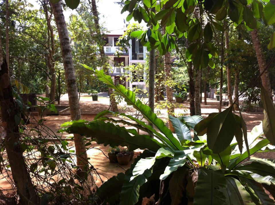 Gem Field Rest Bed & Breakfast Ratnapura Luaran gambar